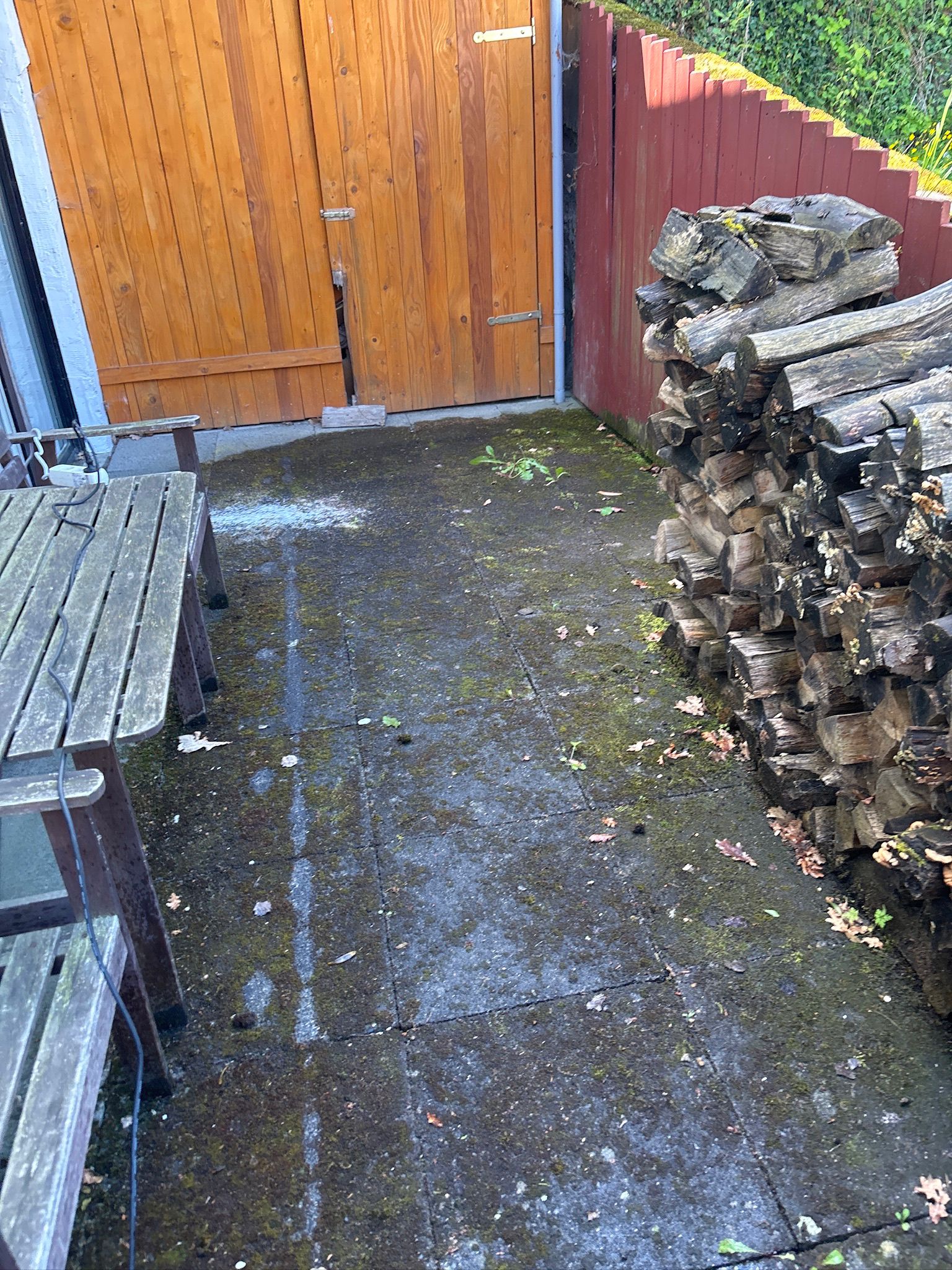 Terrasse vorher – moosbedeckte Platten